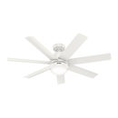Ventilador de Techo Brazos ENERGY STAR® | 52ʺ  Exterior Hunter