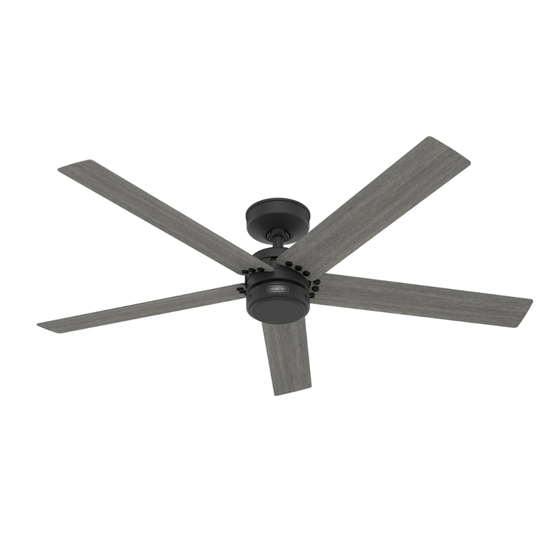 Ventilador de Techo Burton 52" Exterior Hunter