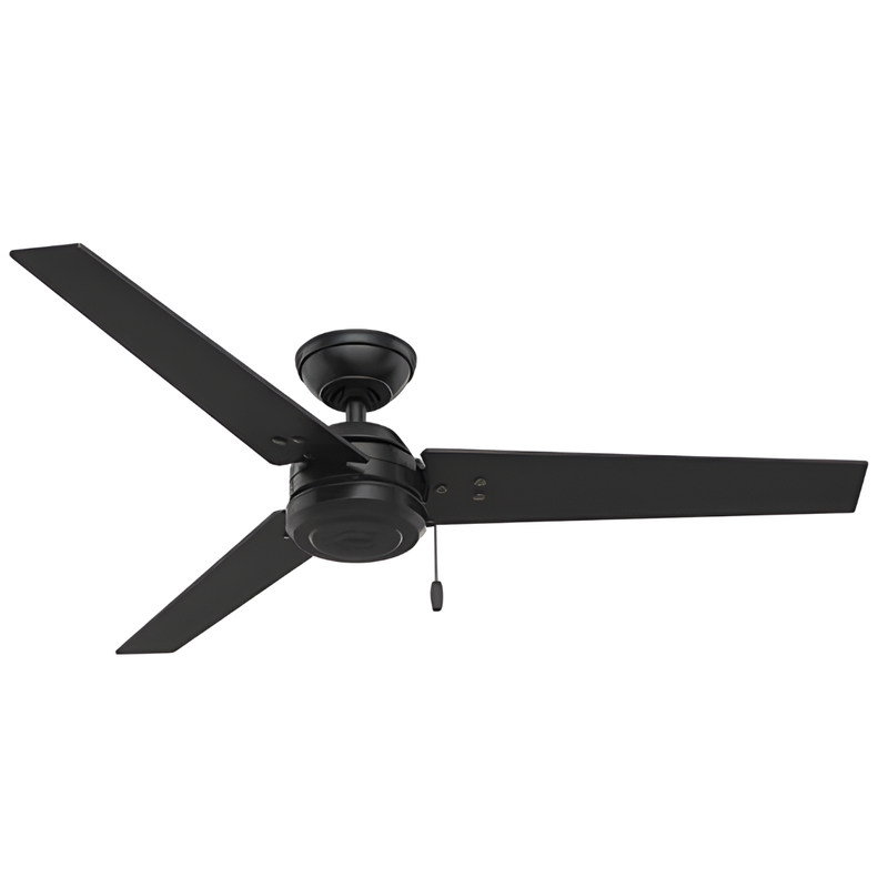 Ventilador de Techo Cassius 52" Exterior Hunter
