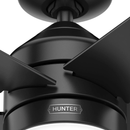 Ventilador de Techo Evansville Negro Mate 44" Exterior Hunter