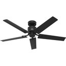 Ventilador de Techo Windbound 52" Exterior Hunter