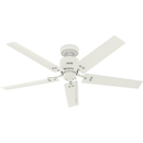 Ventilador de Techo Windbound 52" Exterior Hunter