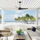 Ventilador de Techo Trimaran 52" Exterior Zonas Costeras Hunter